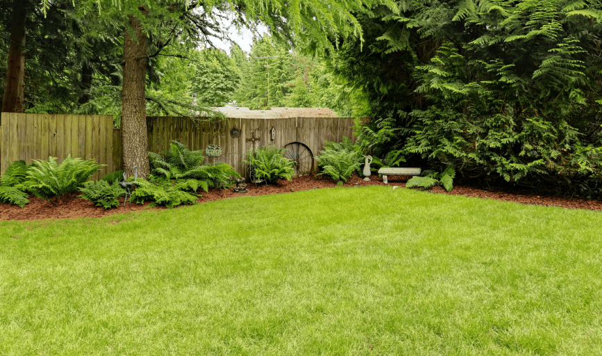 Ruben R Lawn service